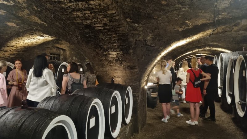 Održan Dan otvorenih podruma u organizaciji udruge Kutjevački vinari