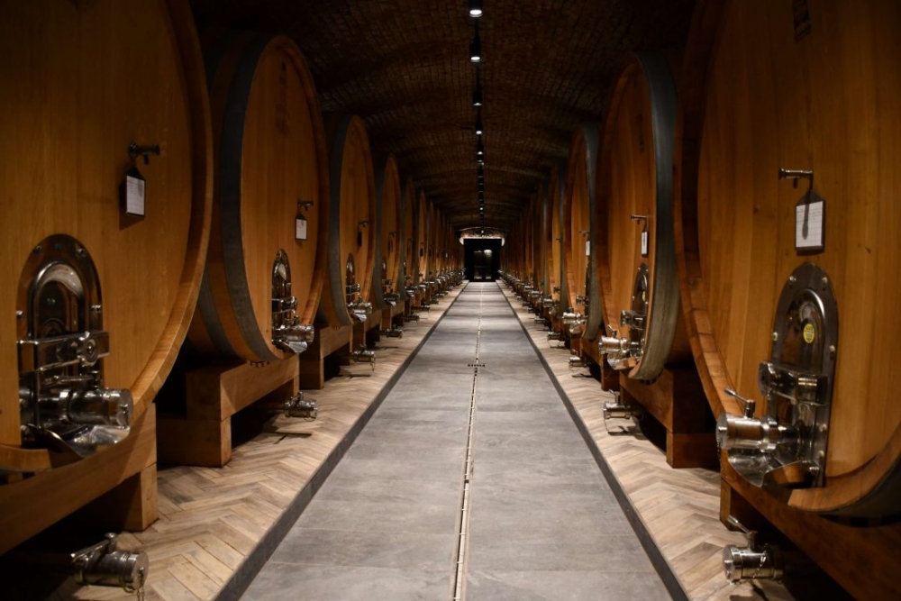 Dan otvorenih podruma