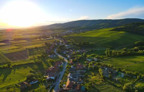 Kutjevo u Zlatnoj dolini